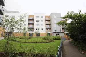 Photo 1- click for photo gallery